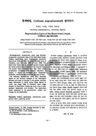 흑색배말, Cellana nigrolineata의 생식주기