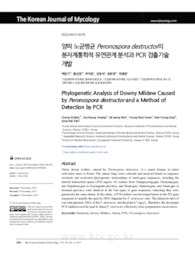 양파 노균병균 Peronospora destructor의 분자계통학적 유연관계 분석과 PCR 검출기술 개발