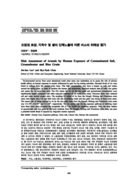 오염된 토양, 지하수 및 쌀의 인체노출에 따른 비소의 위해성 평가 (Risk Assessment of Arsenic by Human Exposure of Contaminated Soil, Groundwater and Rice Grain)