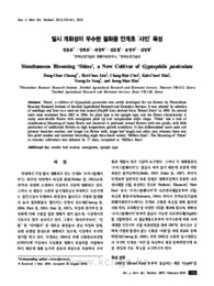 일시 개화성이 우수한 절화용 안개초 ‘샤인’ 육성 (Simultaneous Blooming ‘Shine’, a New Cultivar of Gypsophila paniculata)