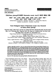 인삼(Panax ginseng)에 발생한 Watermelon mosaic virus의 새로운 병원성 계통 (Novel Pathogenic Strain of Watermelon mosaic virus Occurred ..