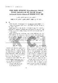 허혈성 재관류 신손상쥐에서 Mycophenolate Mofetil 전처치가 아포프토시스에 의한 세포사와 Mitogen Activated Protein Kinases의 활성화에 미치는 영향