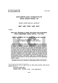 항인지질항체 음성인 전신홍반루푸스에 동반된 콩팥동맥 혈전증 1예