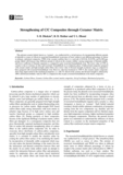 Strenthening of C/C Composites through Ceramer Matrix