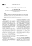 Challenges in Carbon/Carbon Composites Technologies