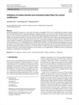Utilization of carbon dioxide onto activated carbon fibers for surface modification