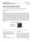 Influence of oxyfluorinated graphite on fluorinated ethylene–propylene composites as bipolar plates