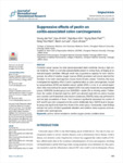 Suppressive effects of pectin on colitis-associated colon carcinogenesis