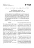 Antibacterial and Antibiofilm Activities of Weissella Cibaria CHK903 Against Proteus mirabilis