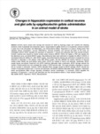Changes in hippocalcin expression in cortical neurons and glial cells by epigallocatechin gallate administration in an animal model of stroke