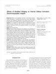 Effects of Modified Bridging on Internal Oblique Activation: Electromyographic Insights
