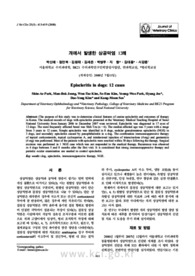 개에서 발생한 상공막염 12례
