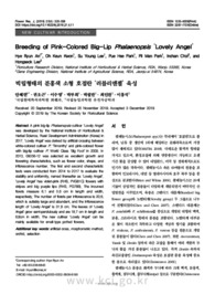 빅립형태의 분홍색 소형 호접란 ‘러블리엔젤’ 육성