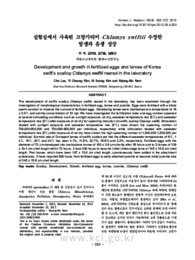 실험실에서 사육된 고랑가리비 Chlamys swiftii 수정란 발생과 유생 성장