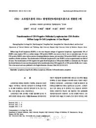 CD5- 소포림프종의 CD5+ 광범위큰B세포림프종으로 전환된 1예