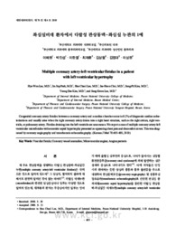 좌심실비대 환자에서 다발성 관상동맥-좌심실 누관의 1예