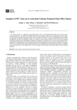 Sorption of Pb² Irons on to Activated Carbon Prepared from Olive Stones