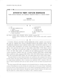 동적체계기반 확률적 사용자균형 통행배정모형